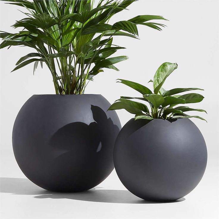 Grand Urn Planter